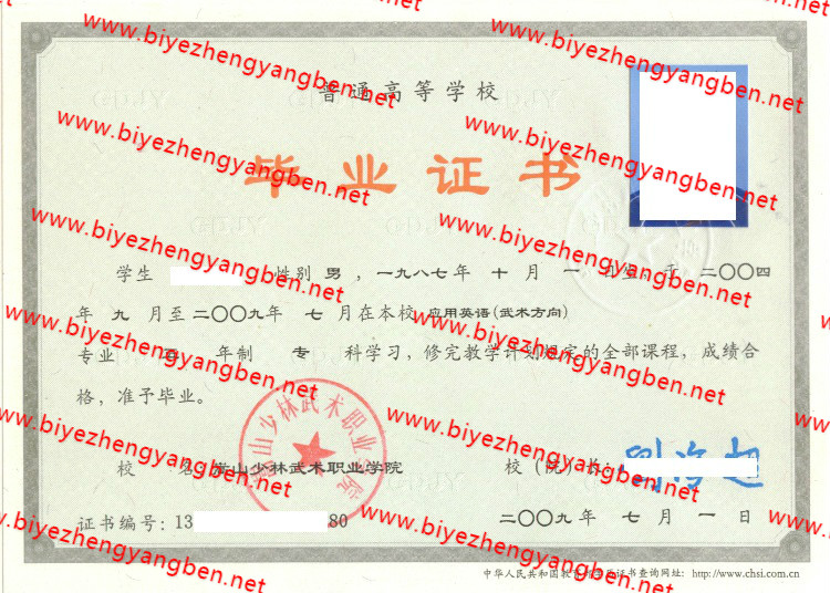 嵩山少林武术职业学院毕业证样本