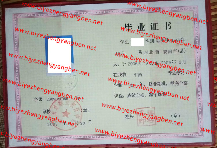 2009갲ְҵר<a href='http://www.biyezhengyangben.net/' target='_blank'><u>ҵ֤</u></a>