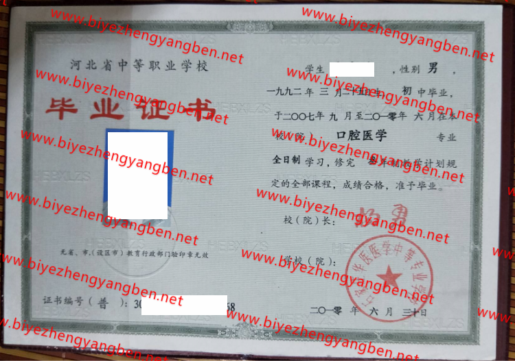 ʯׯҽҽѧеרҵѧУר<a href='http://www.biyezhengyangben.net/' target='_blank'><u>ҵ֤</u></a>