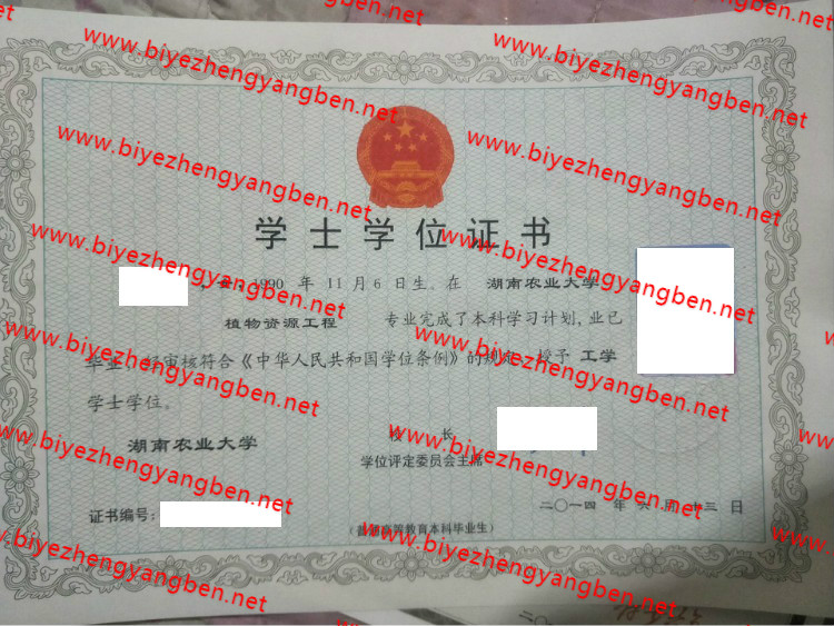 湖南农业大学学士学位证书样本