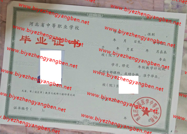 ʯׯҽҽѧеרҵѧУ<a href='http://www.biyezhengyangben.net/' target='_blank'><u><a href='http://www.biyezhengyangben.net/zz/' target='_blank'><u>רҵ֤</u></a></u></a>
