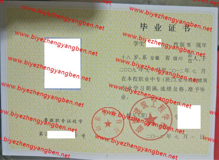 ͲѧУר<a href='http://www.biyezhengyangben.net/' target='_blank'><u>ҵ֤</u></a>