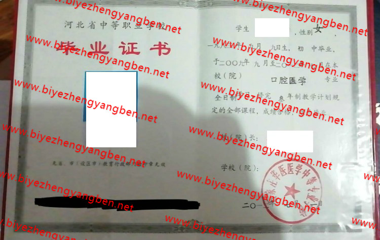 ʯׯҽҽѧеרҵѧУר<a href='http://www.biyezhengyangben.net/' target='_blank'><u>ҵ֤</u></a>