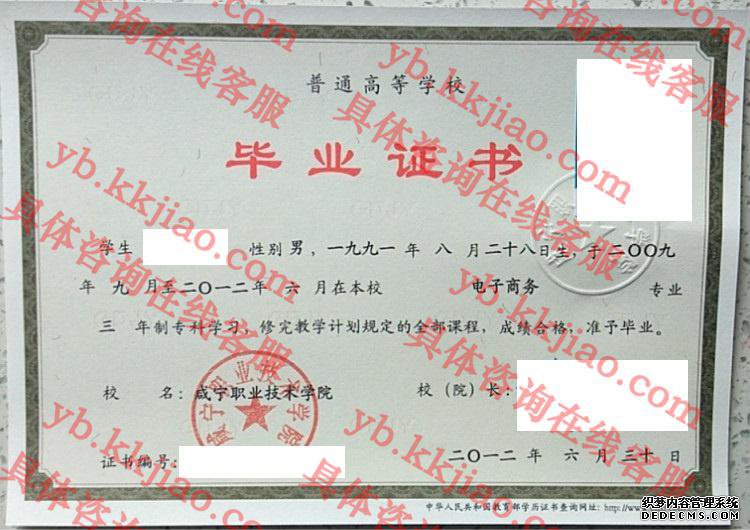 咸宁职业技术学院毕业证样本