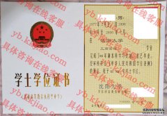 沈阳大学学士学位证书样本