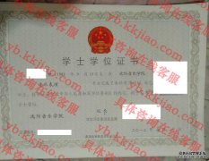 沈阳音乐学院学士学位证书样本